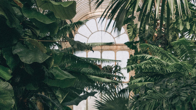 The Palm House and Water Lily House at Kew