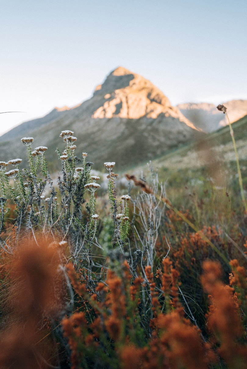 Behind-the-scenes vertical image