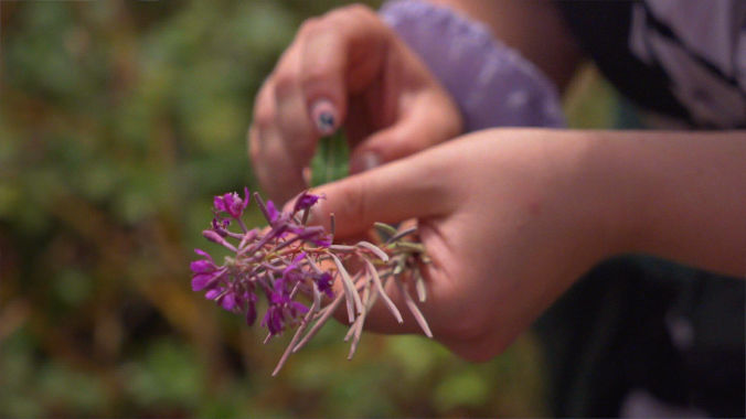 Video Production for Sustainable Brands