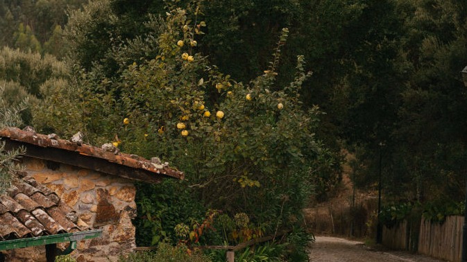 Common Mistakes in Social Media Video Production