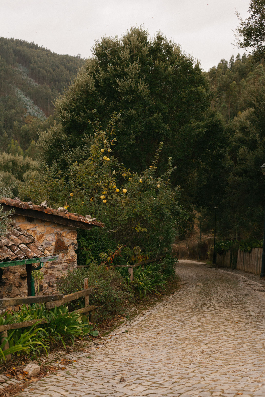 Behind-the-scenes horizontal image