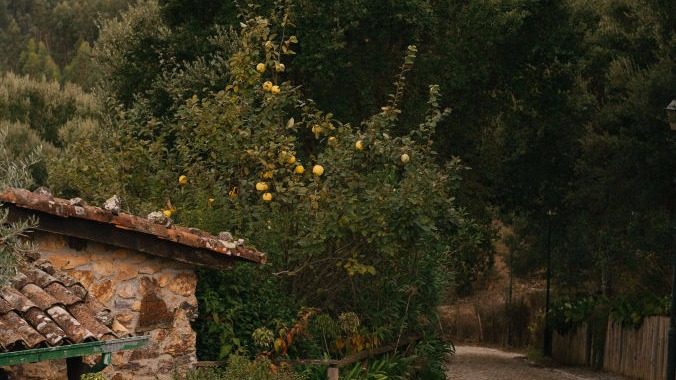 how to make a storytelling video