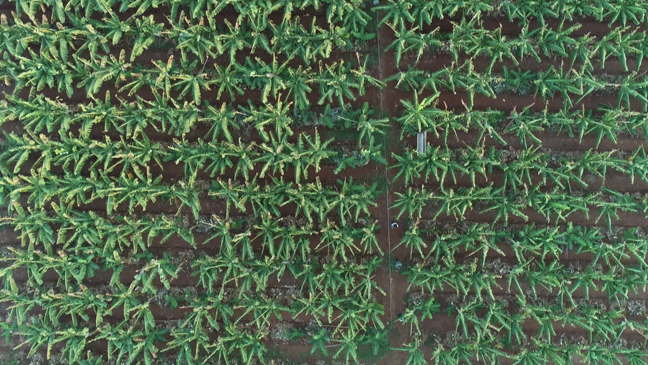 Beautiful horizontal shot