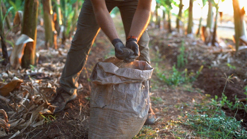 Beautiful horizontal shot