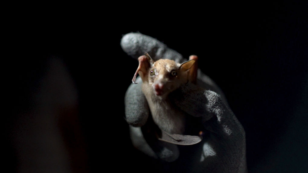 Beautiful horizontal shot