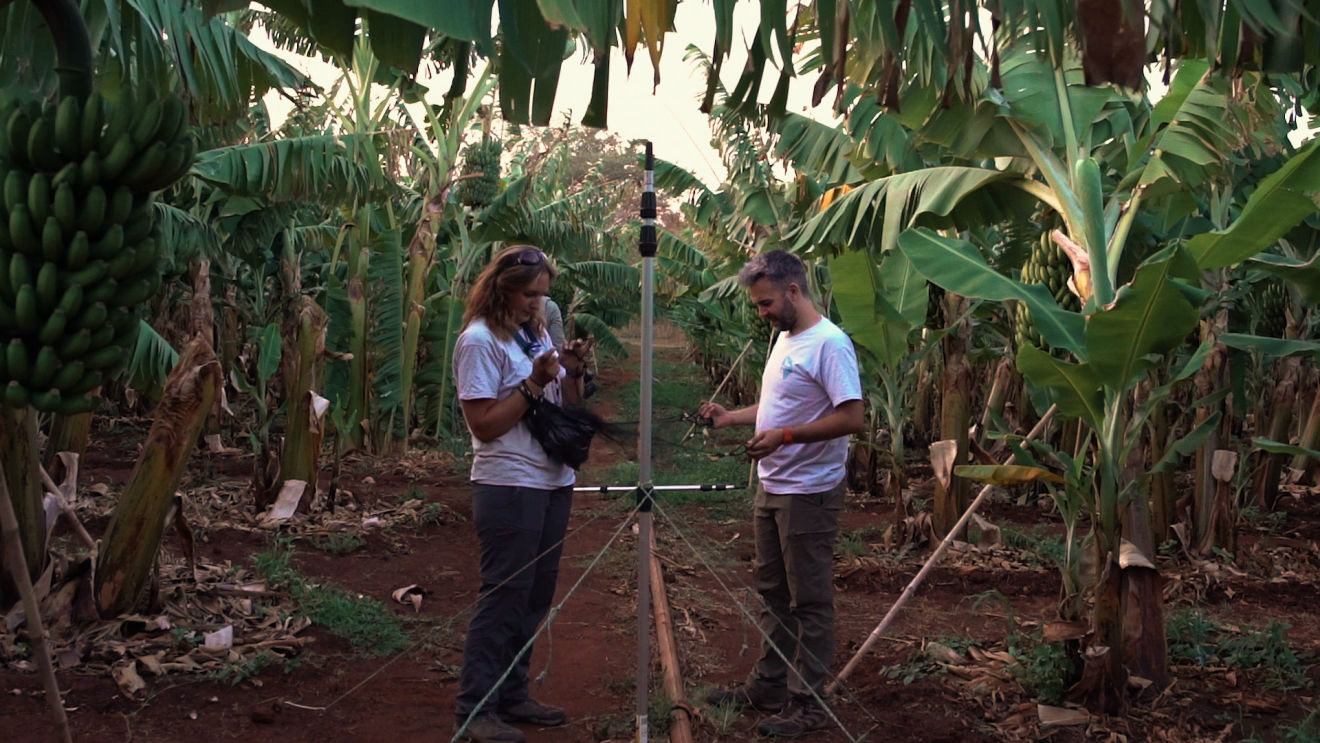 Beautiful horizontal shot