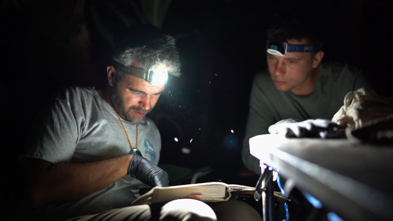 Beautiful horizontal shot