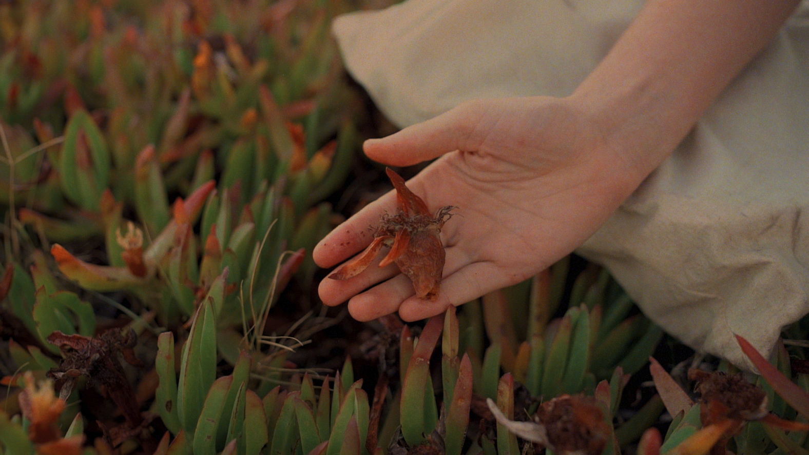 Beautiful horizontal shot