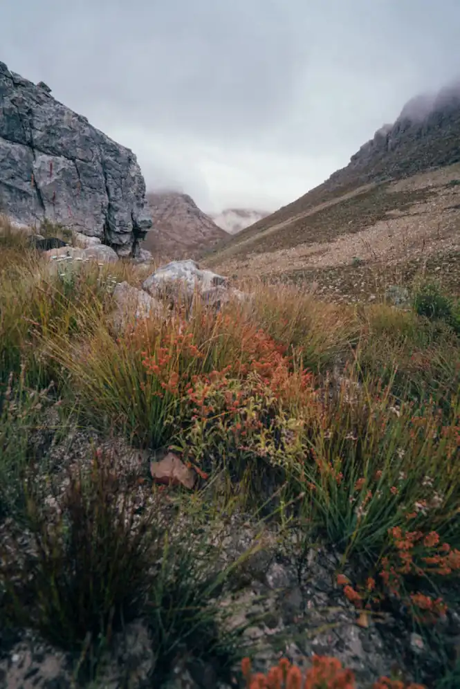 South African landscape captured by a videography team