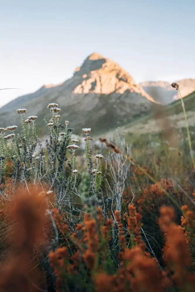 Videographer filming in South Africa