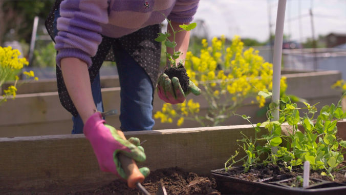 Volunteer sorting food donations at a food bank during a charity video production
