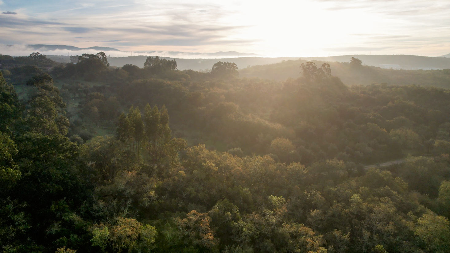 Beautiful horizontal shot