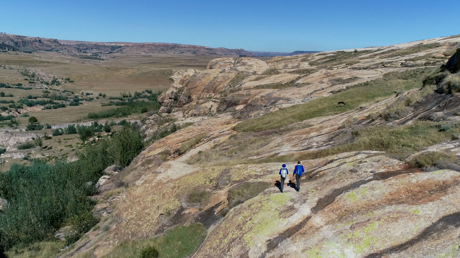 Beautiful horizontal shot