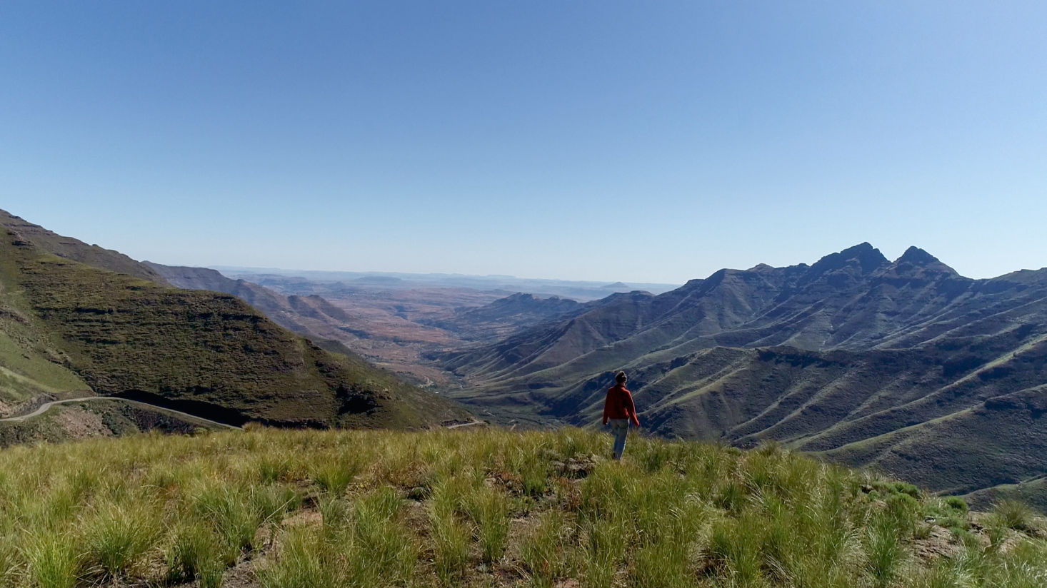 Beautiful horizontal shot