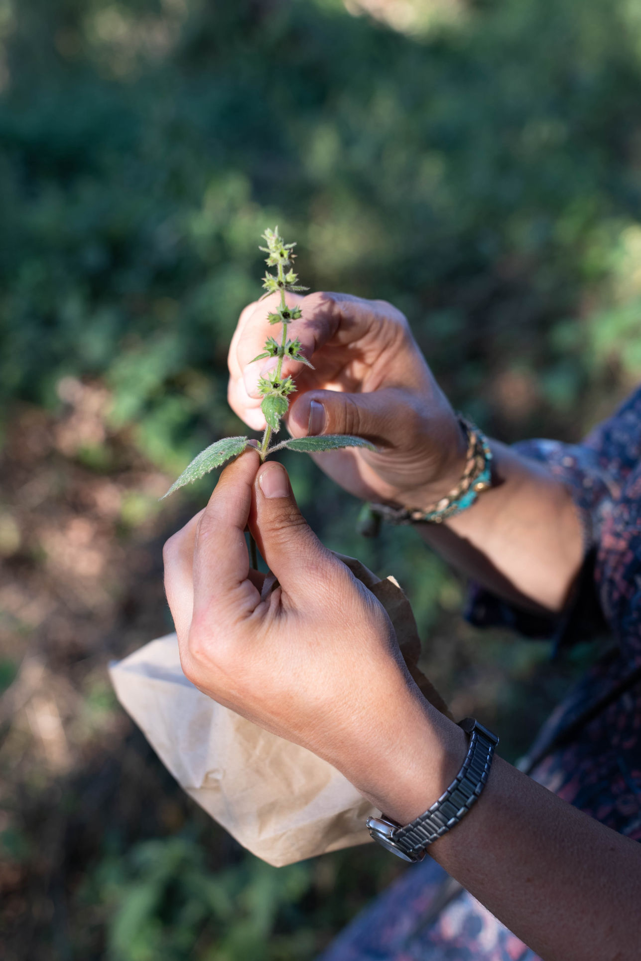 Behind-the-scenes horizontal image