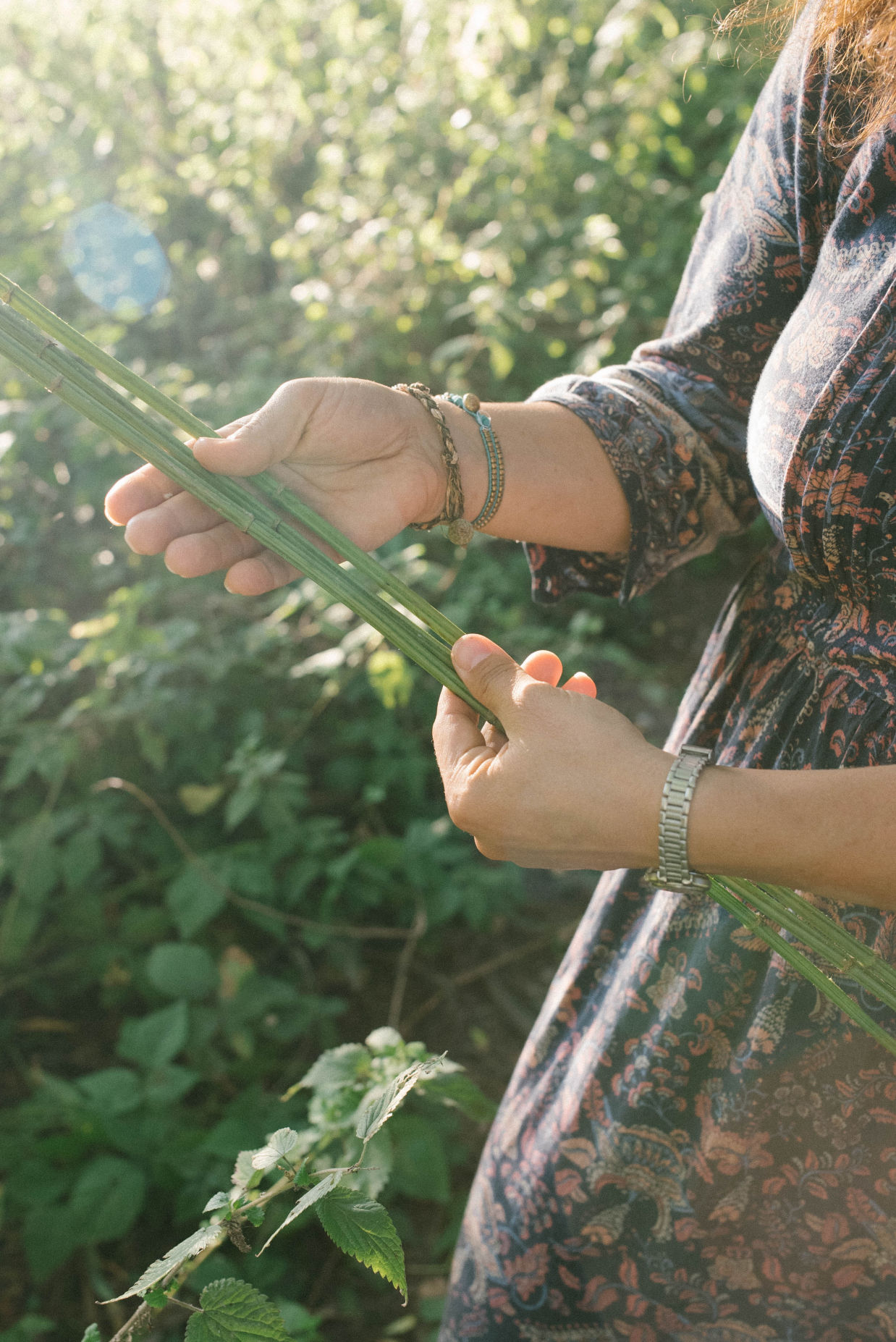 Behind-the-scenes vertical image