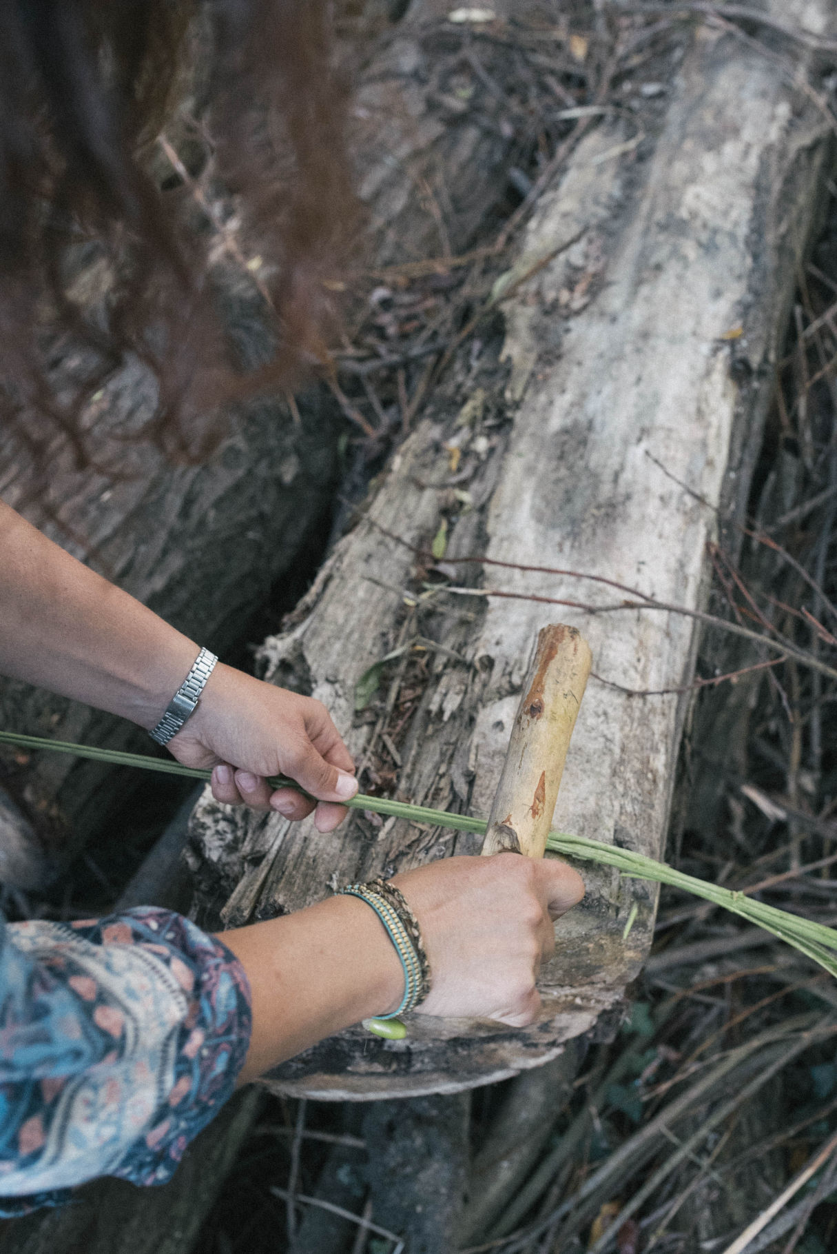 Behind-the-scenes horizontal image