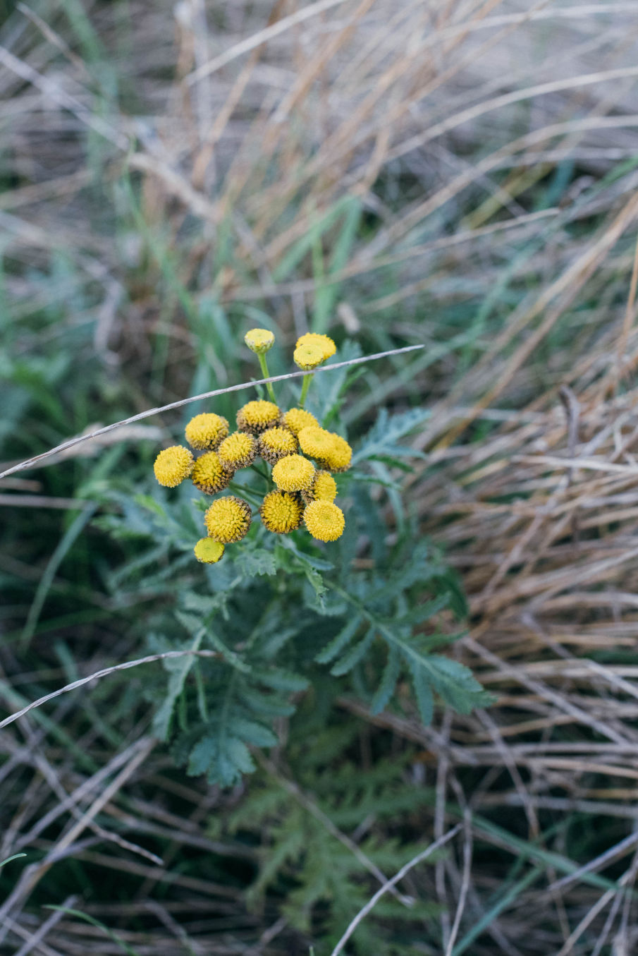 Behind-the-scenes vertical image