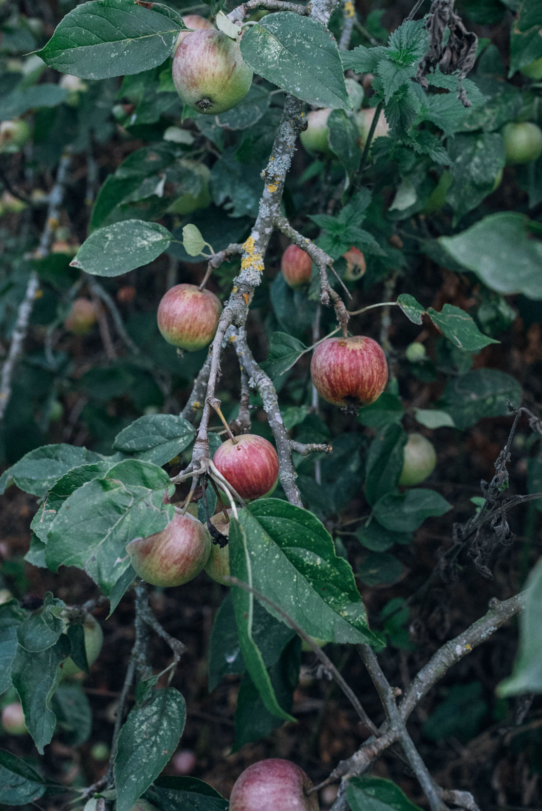 Behind-the-scenes horizontal image