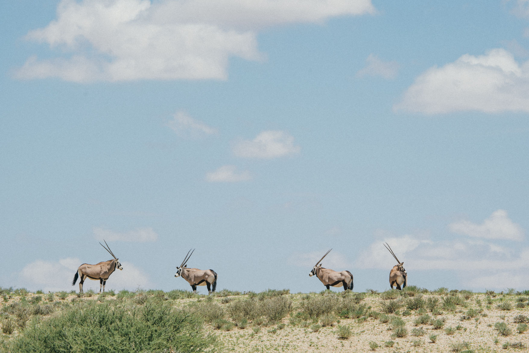 Beautiful horizontal shot