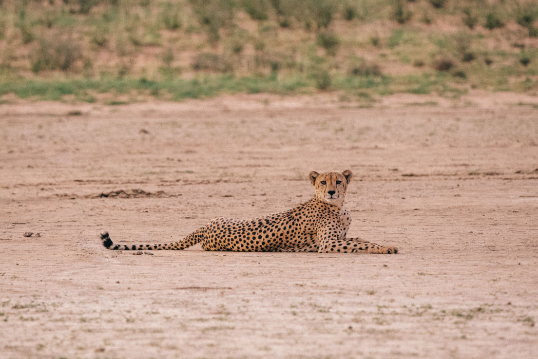 Behind-the-scenes vertical image