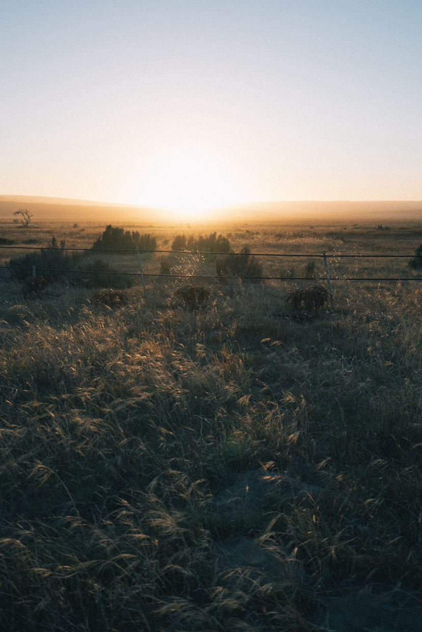 Behind-the-scenes horizontal image