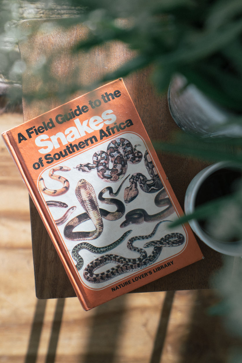 Behind-the-scenes vertical image