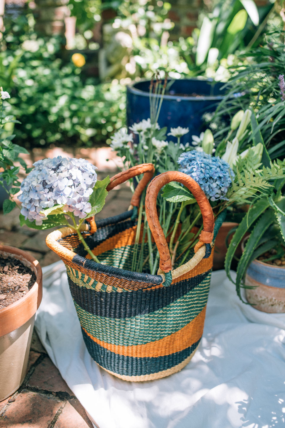 Behind-the-scenes horizontal image