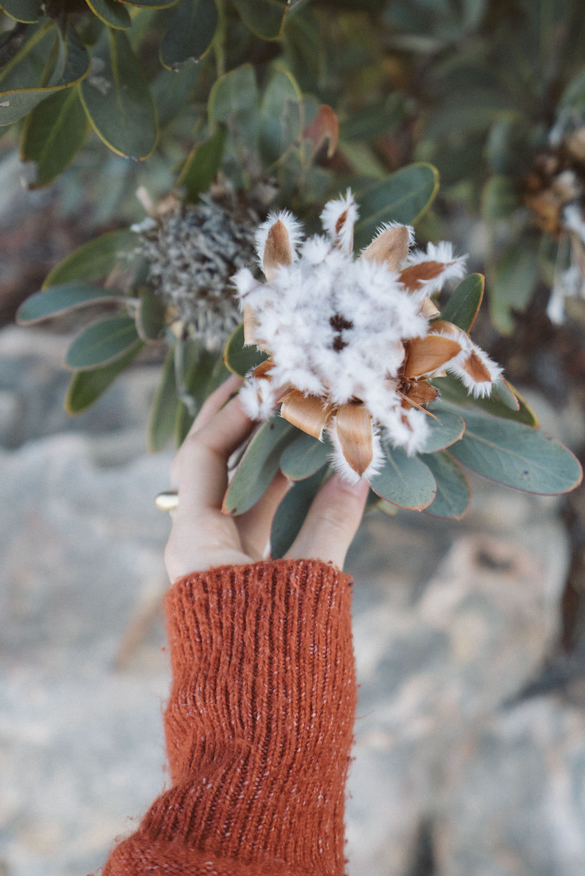 Behind-the-scenes vertical image