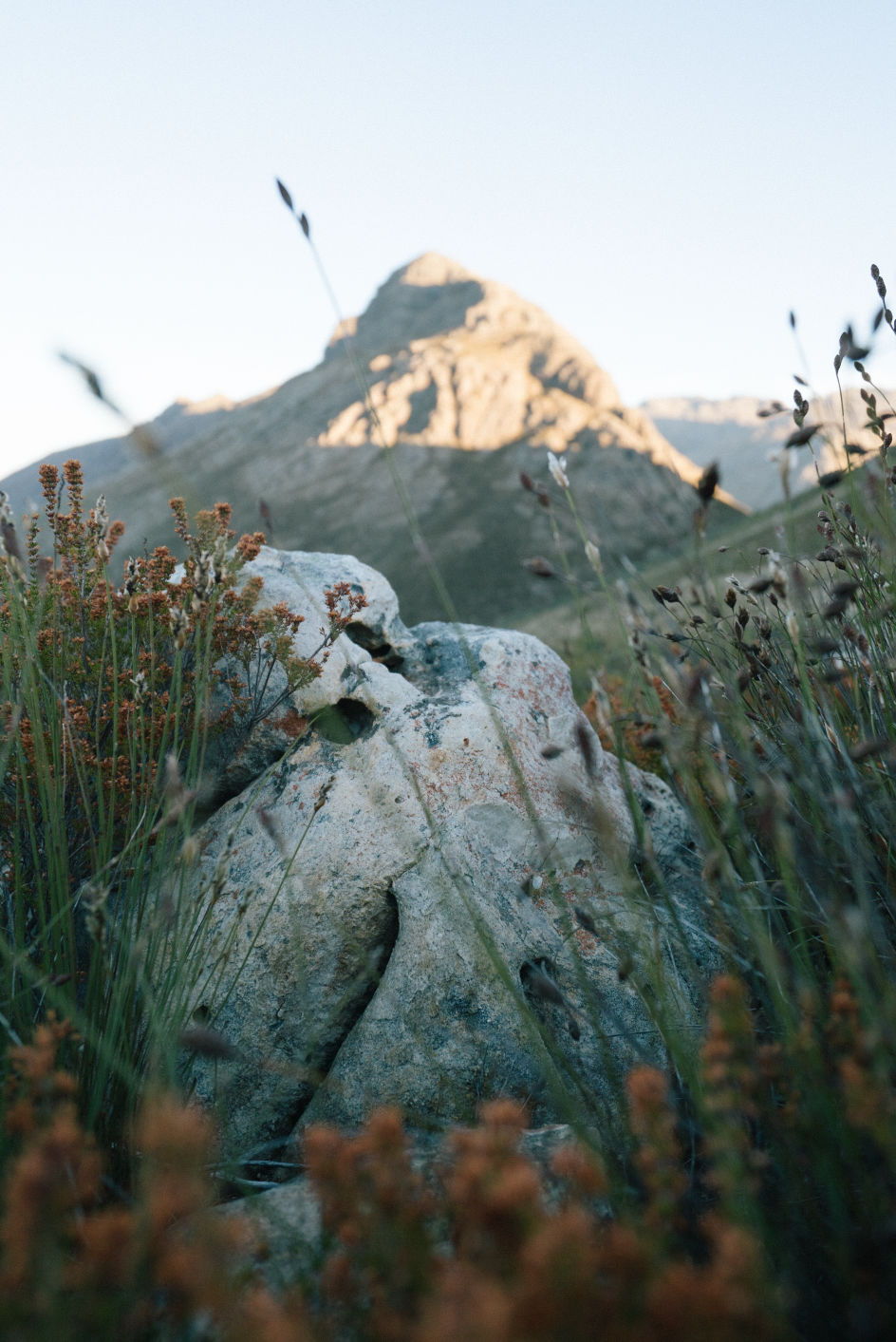 Behind-the-scenes horizontal image