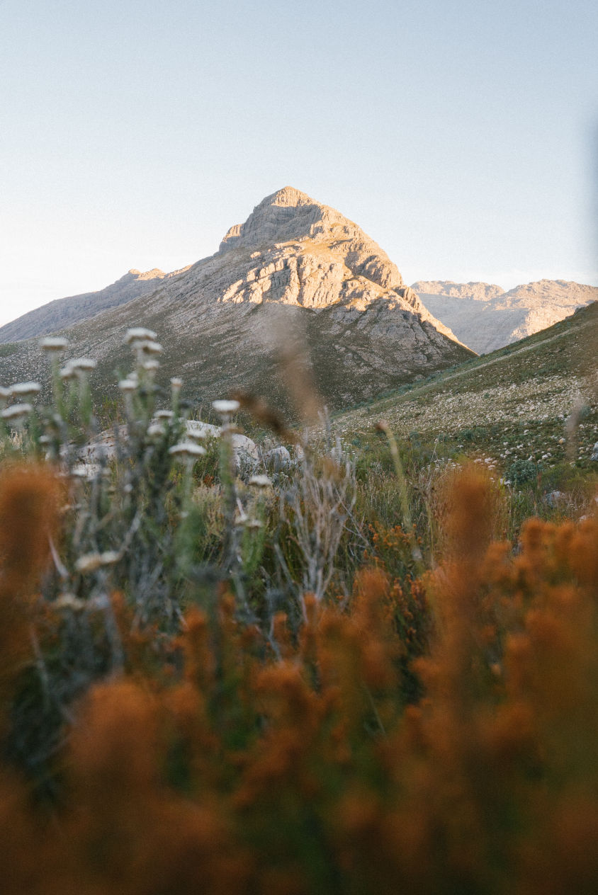 Behind-the-scenes horizontal image