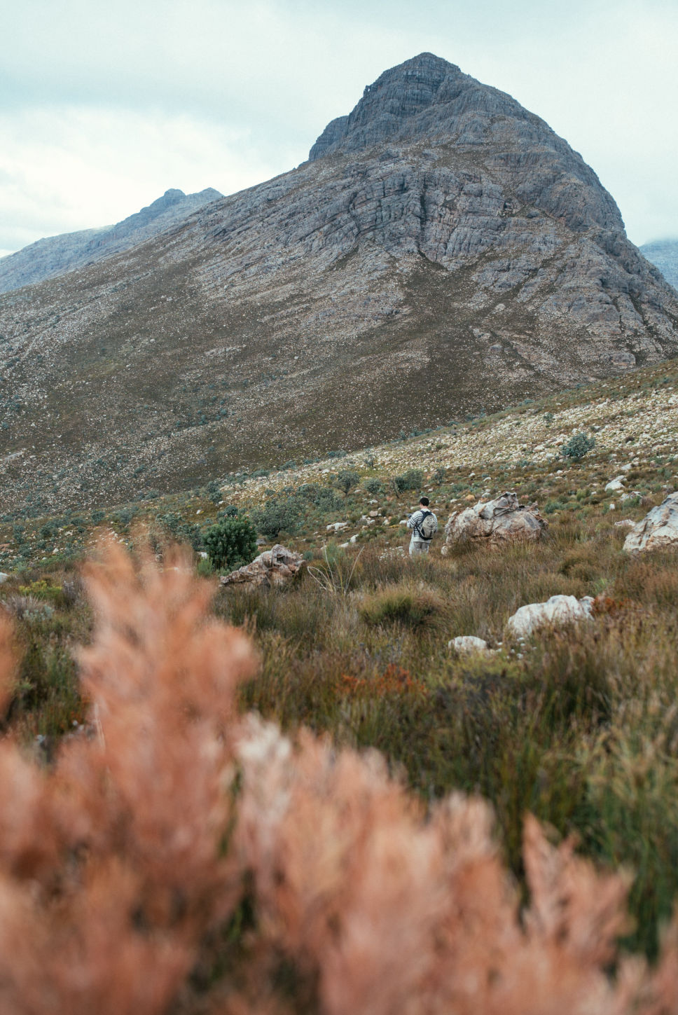 Behind-the-scenes horizontal image