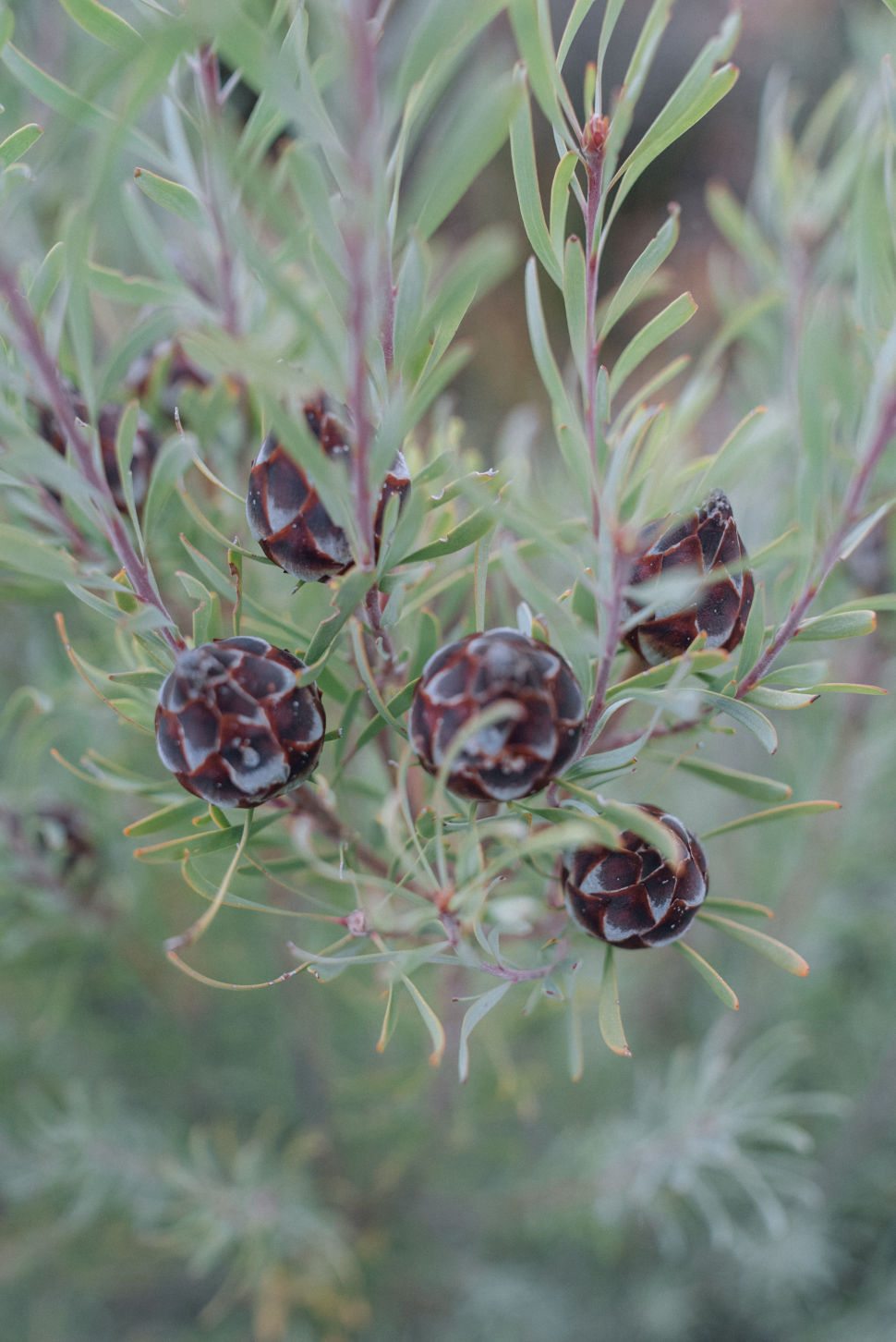 Behind-the-scenes horizontal image