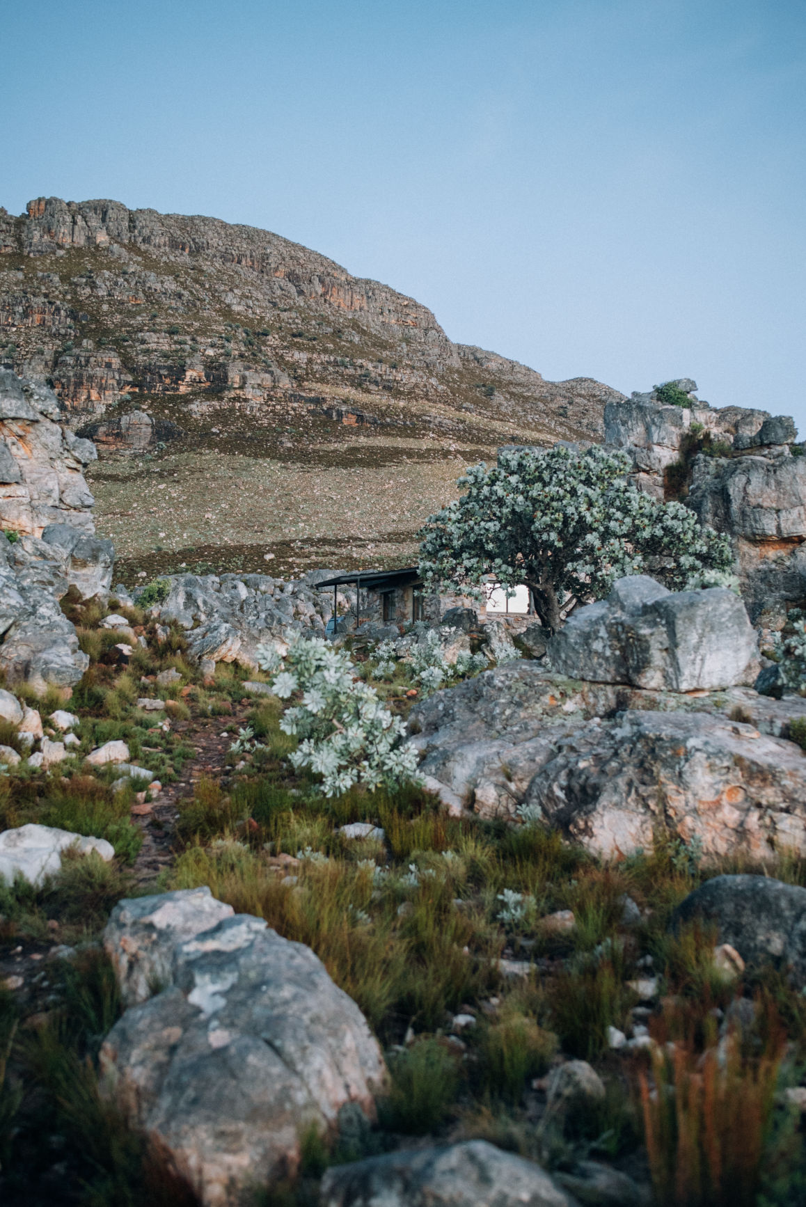 Behind-the-scenes vertical image