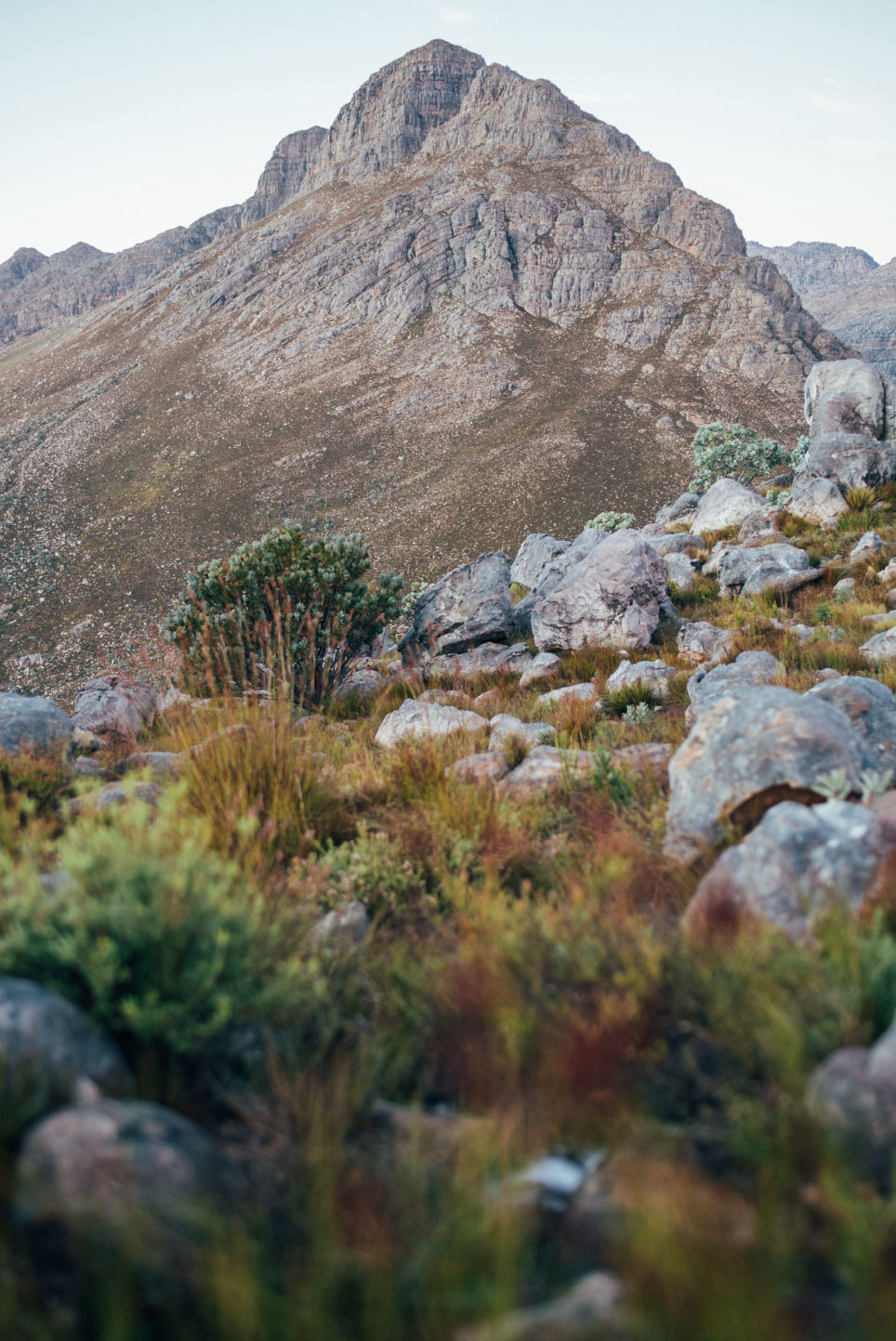 Behind-the-scenes vertical image