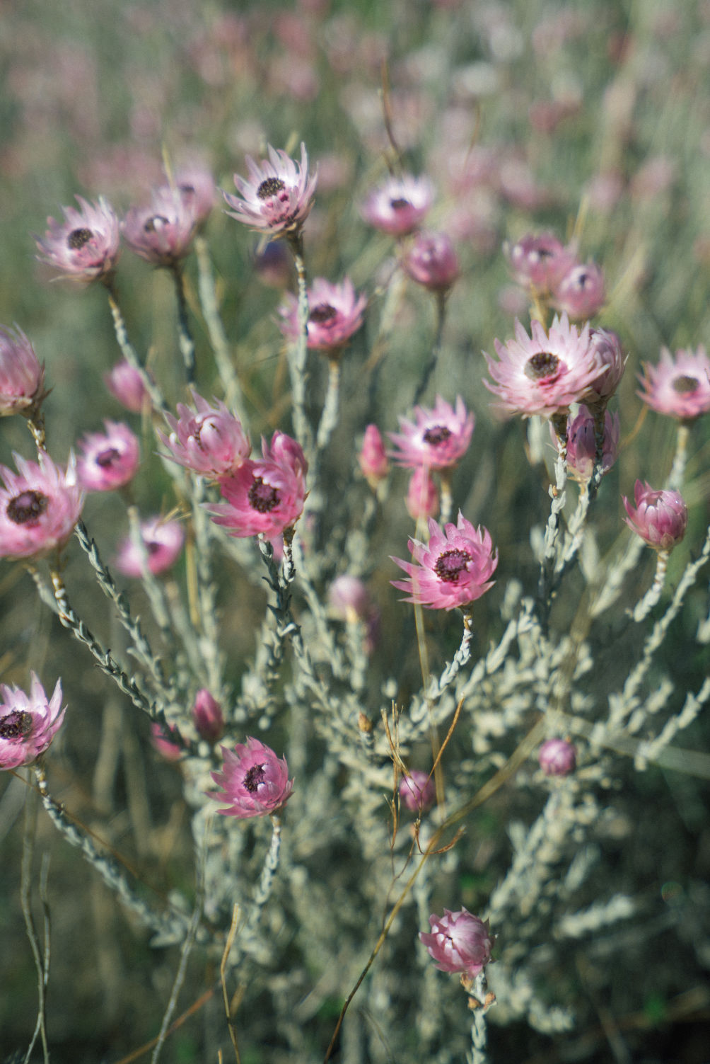 Behind-the-scenes horizontal image