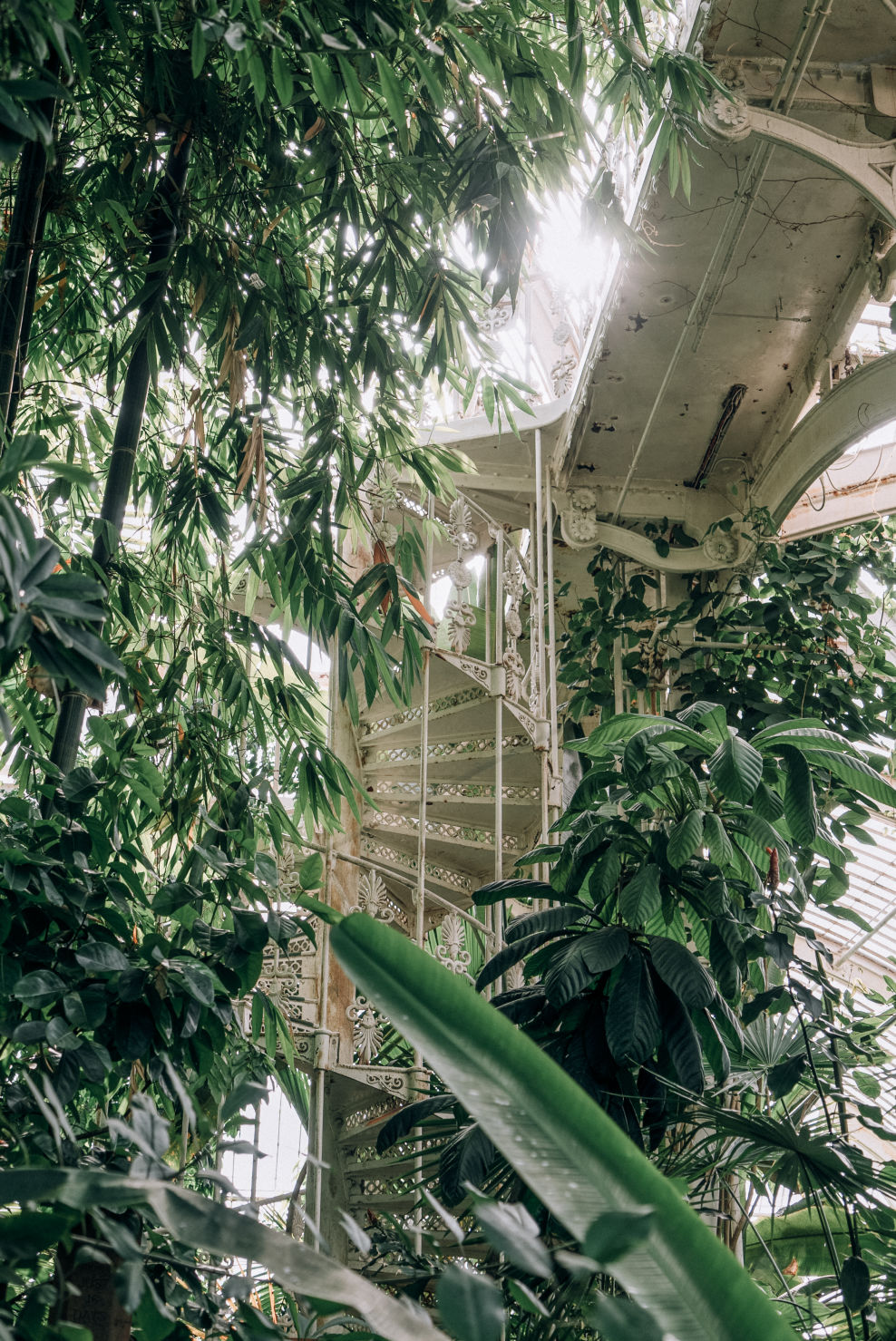 Behind-the-scenes horizontal image