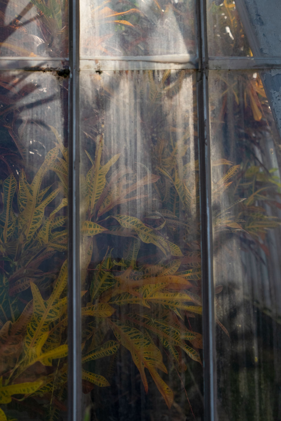 Behind-the-scenes vertical image