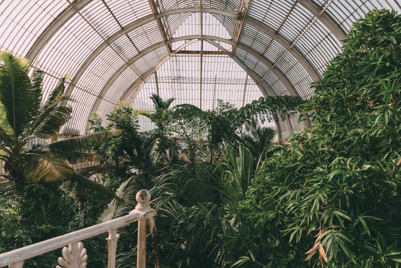 Behind-the-scenes horizontal image