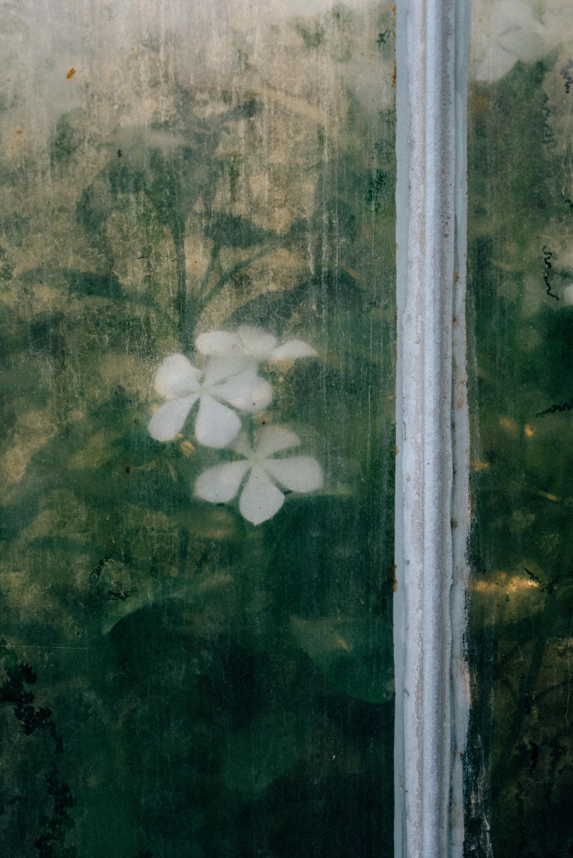 Behind-the-scenes vertical image