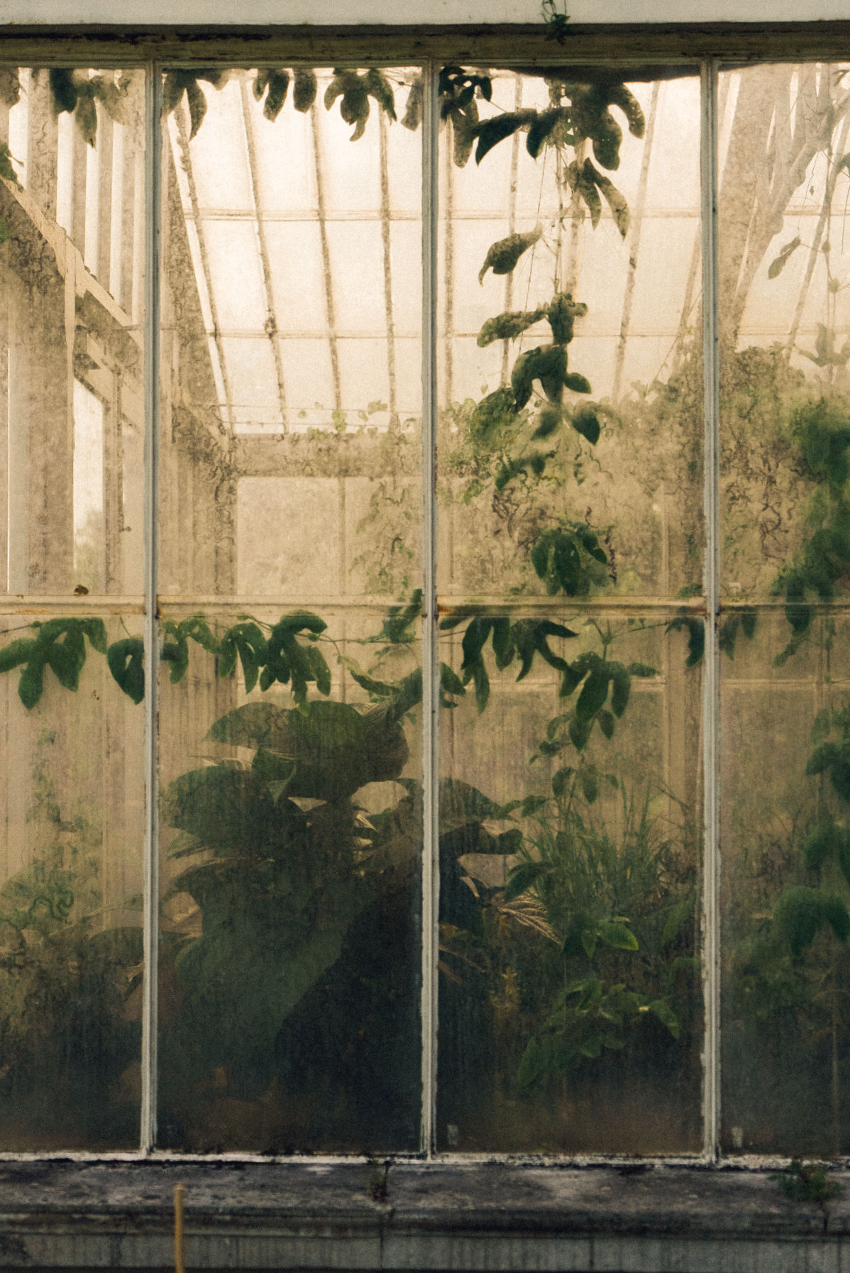 Behind-the-scenes vertical image