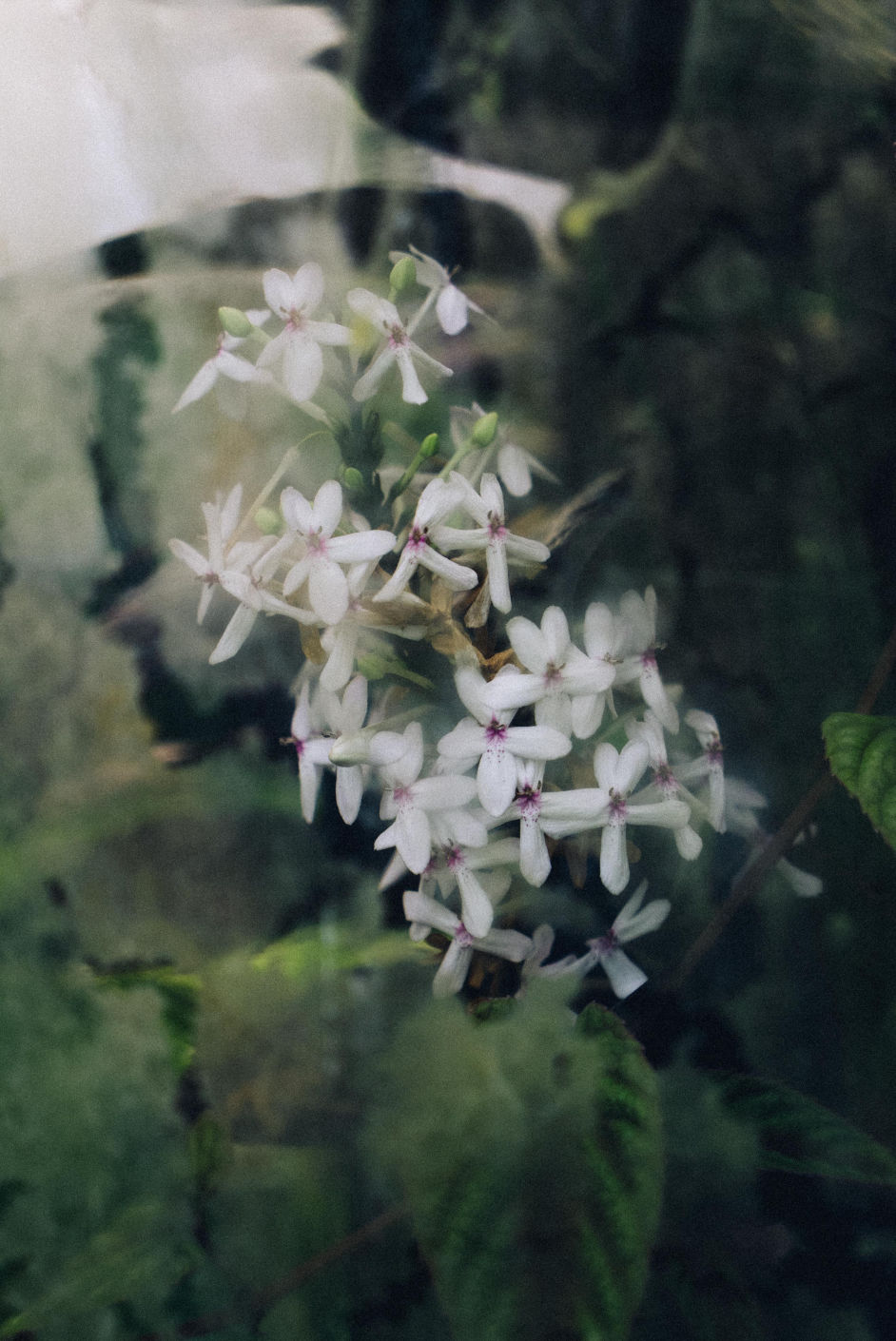 Behind-the-scenes vertical image