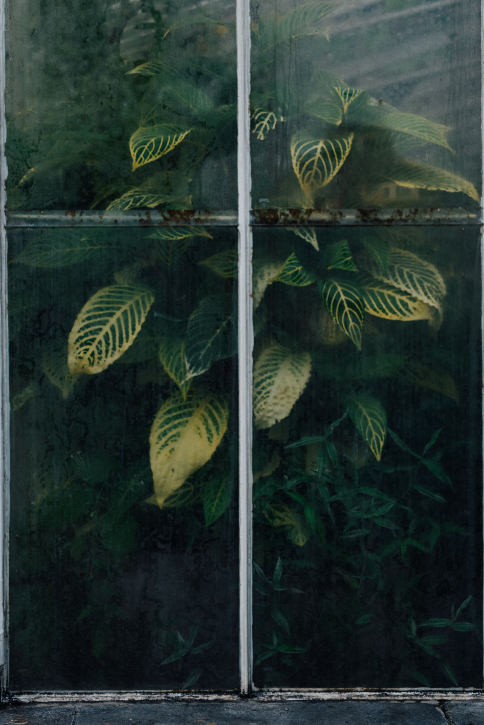 Behind-the-scenes vertical image