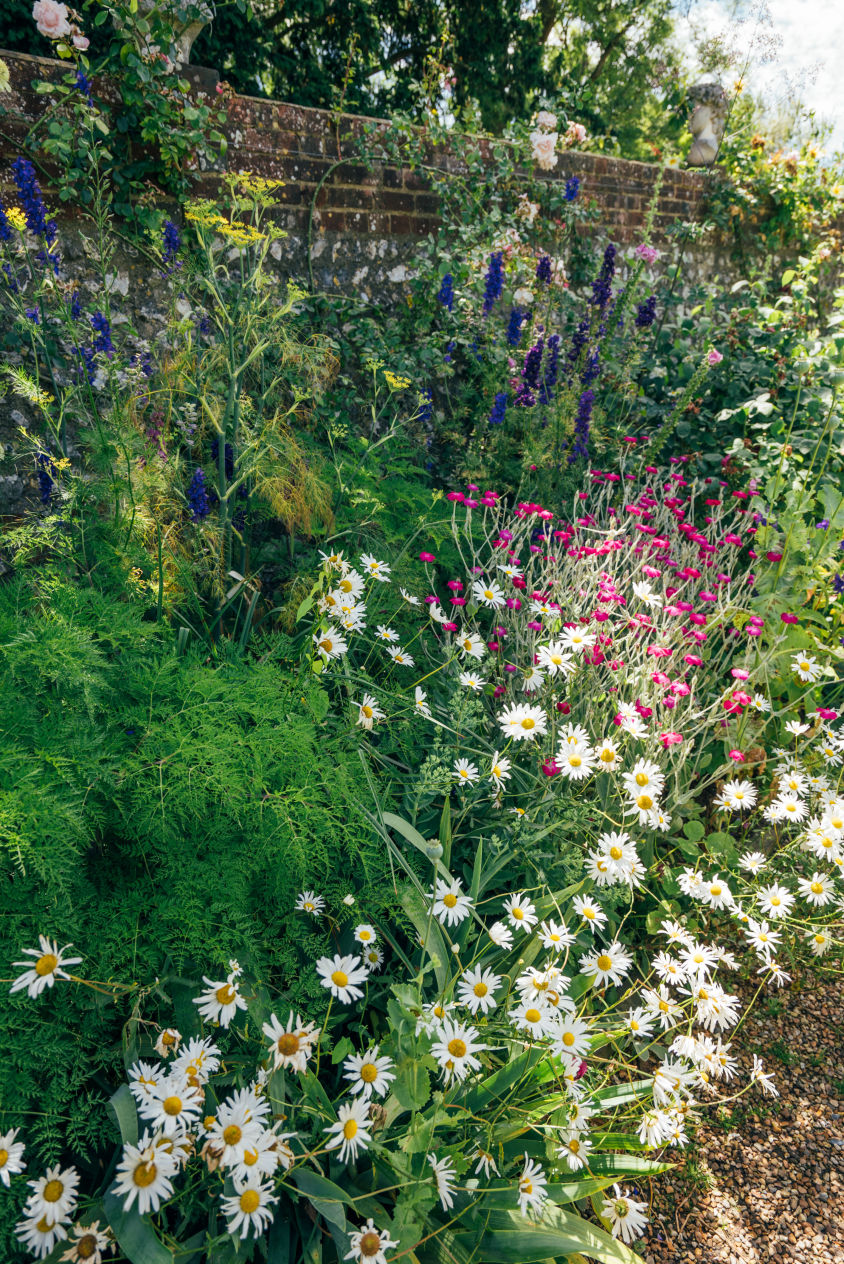 Behind-the-scenes vertical image