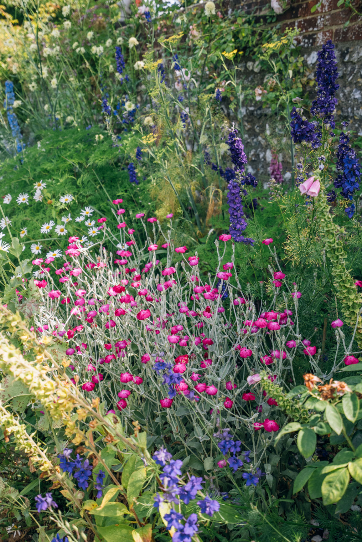 Behind-the-scenes horizontal image