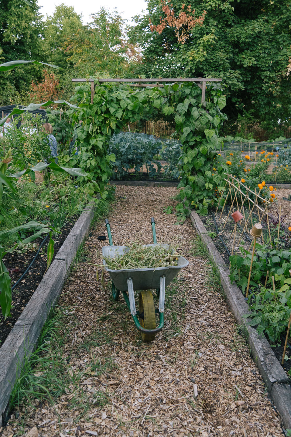 Behind-the-scenes vertical image