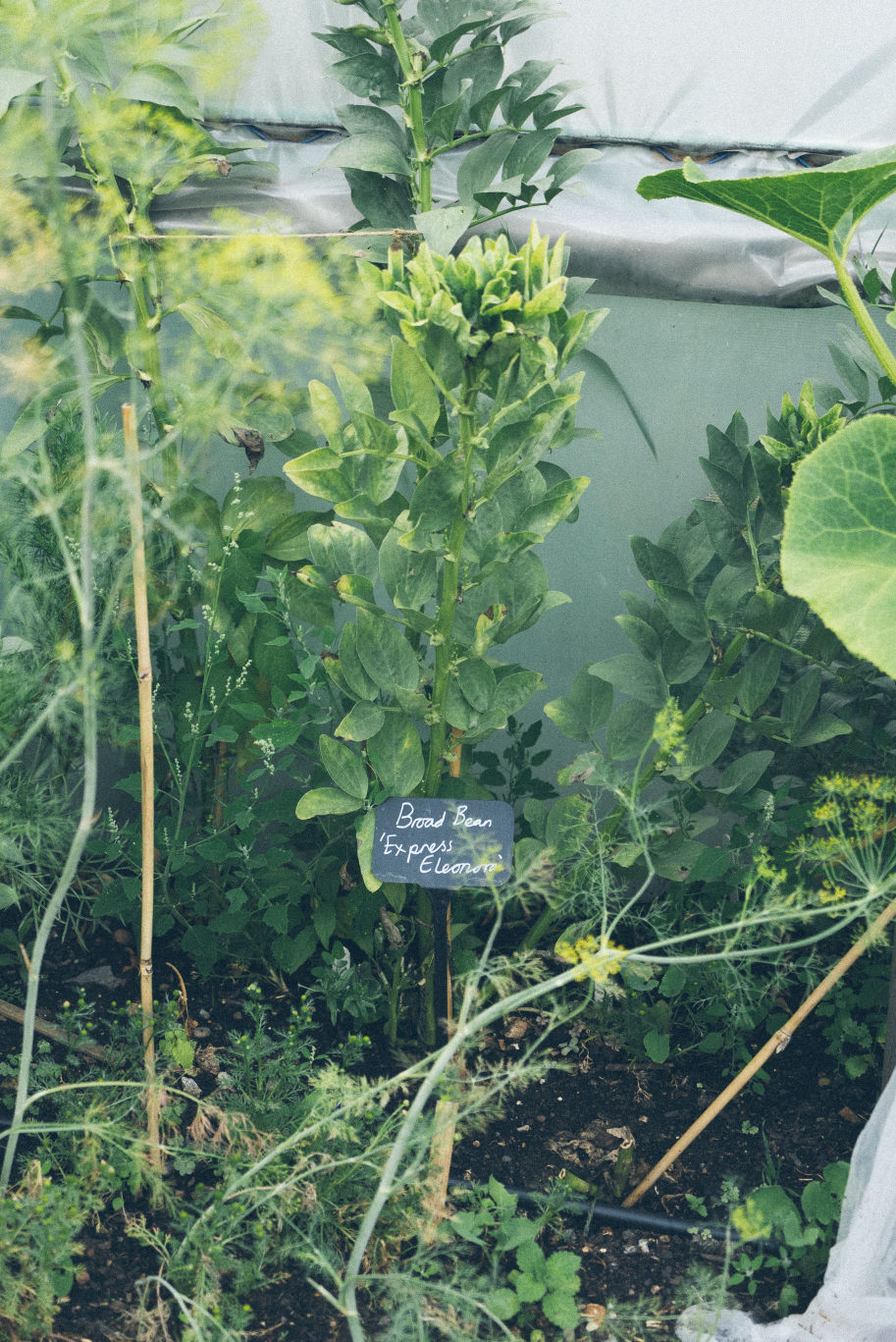 Behind-the-scenes vertical image