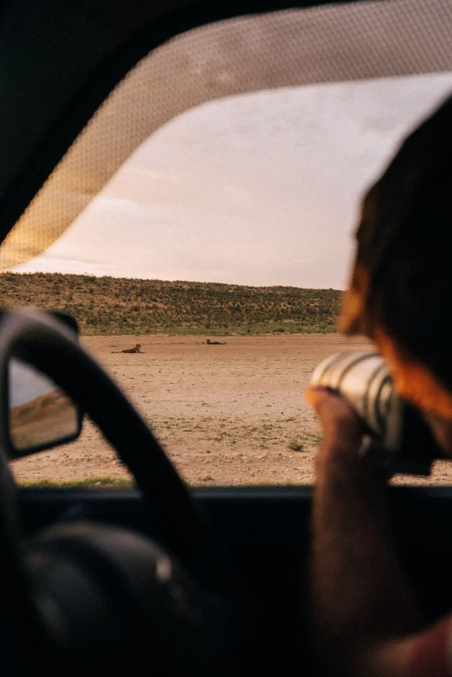 Eugene filming a cheetah at sunset in the Kgalagadi