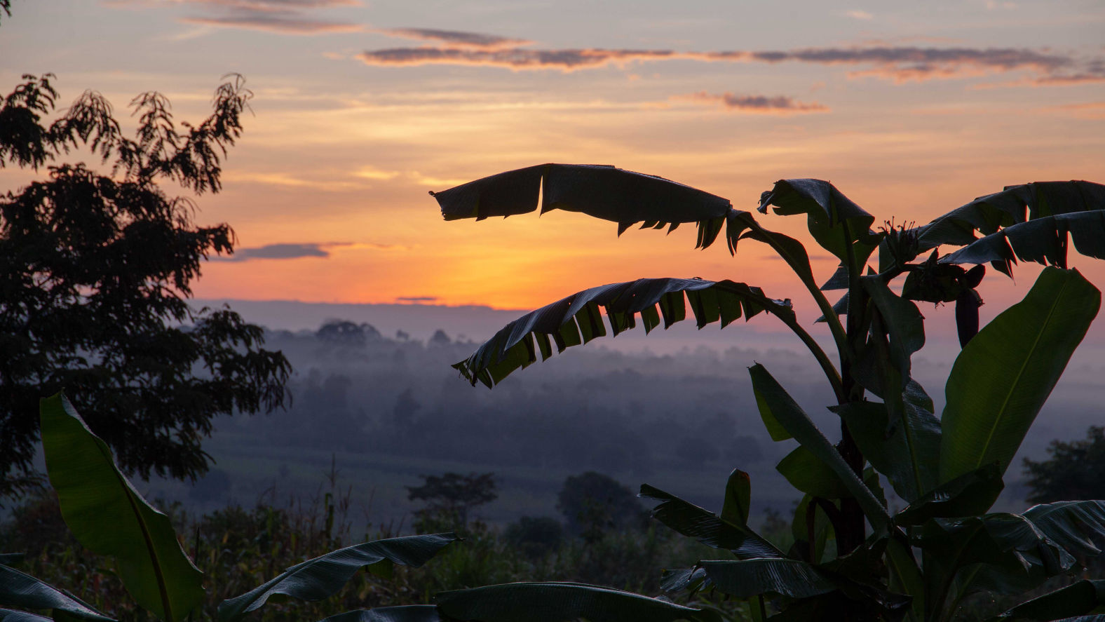 Beautiful horizontal shot