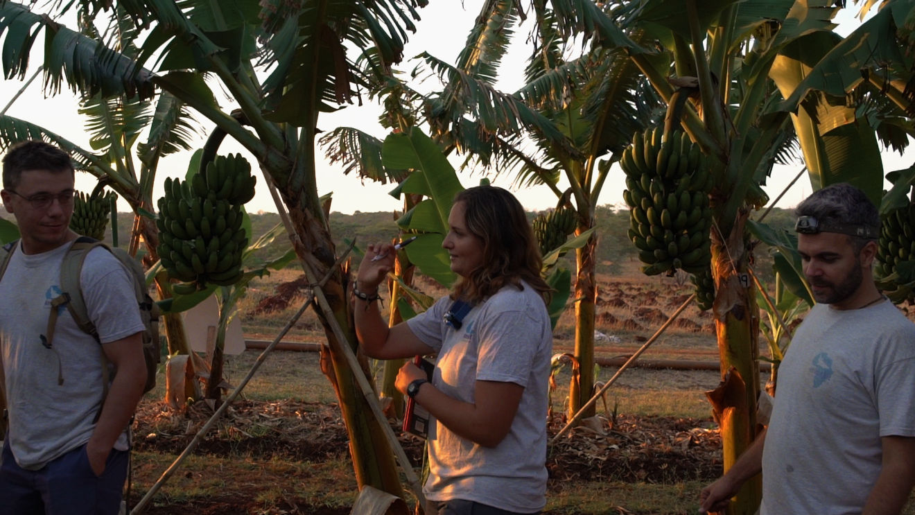 african bat conservation team in the field